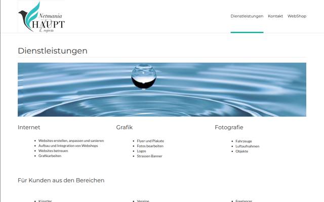 Website von Netmania HAUPT Projects