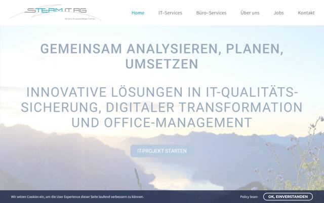 Website von Steam-IT AG