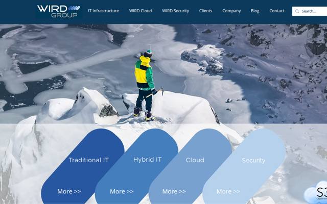 Website von WIRD Group